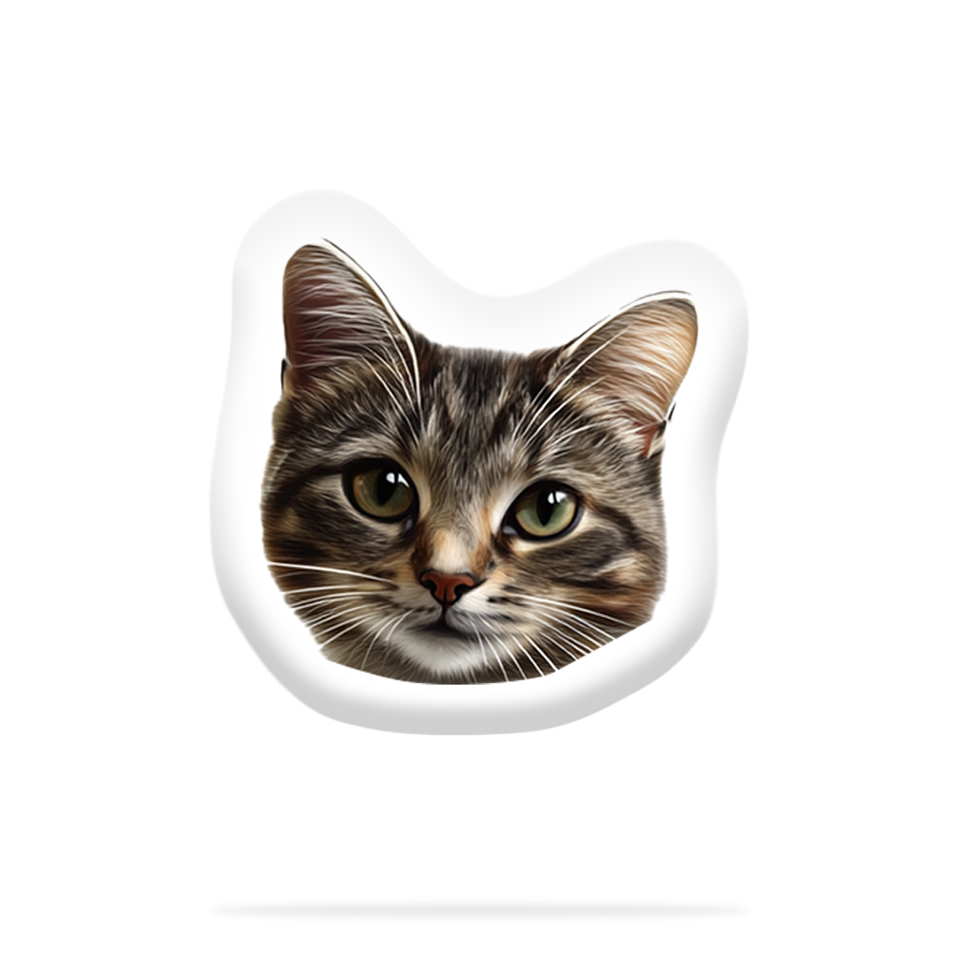 Personalizovaný Kočičí Polštář