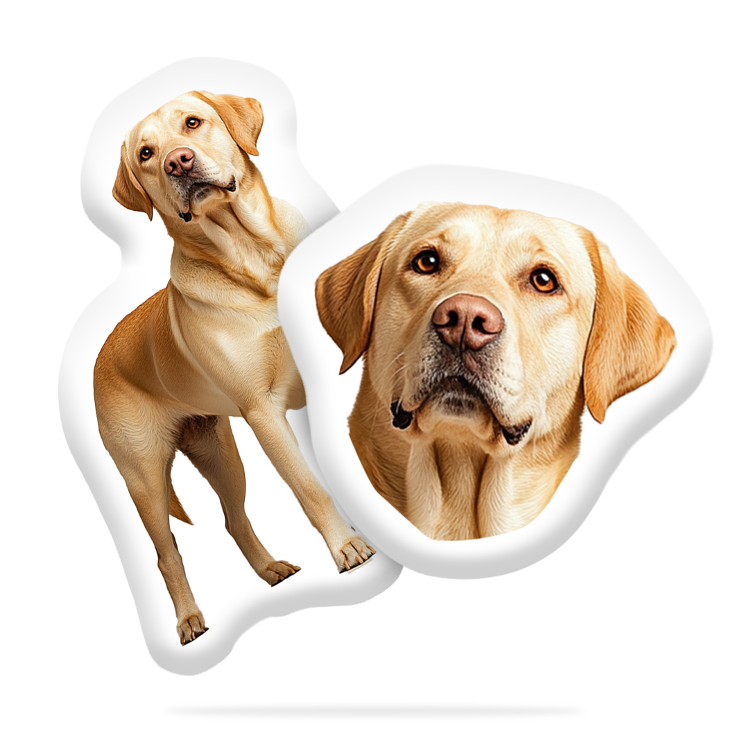 Personalizovaný Psí Polštář