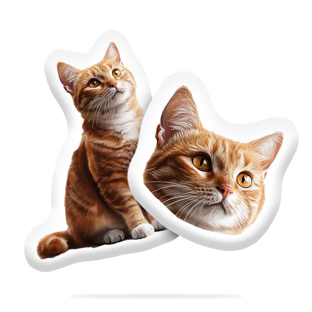 Personalizovaný Kočičí Polštář