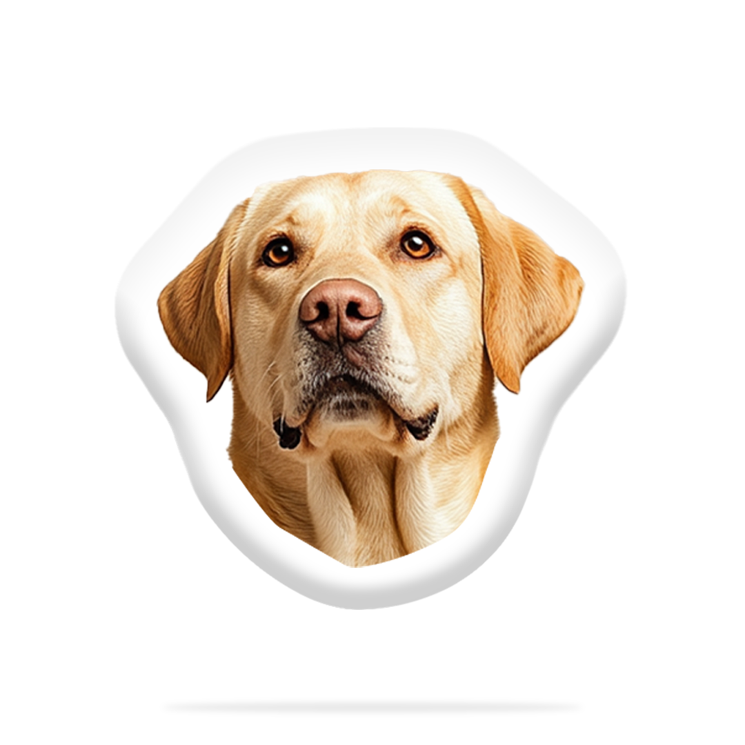 Personalizovaný Psí Polštář