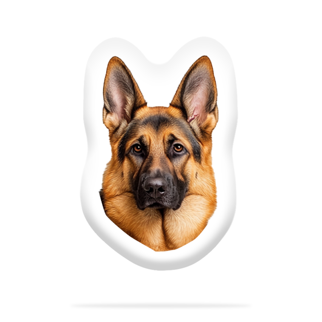 Personalized Dog Pillow